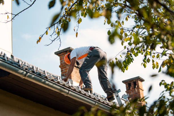 Best Local Roofing Companies  in Lake Wilderness, VA