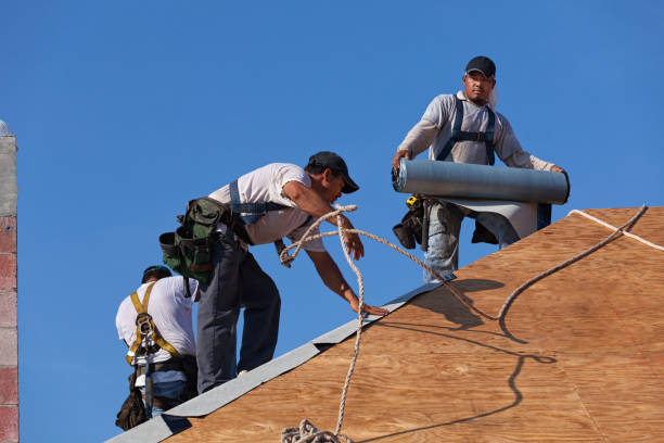 Best Roof Restoration Services  in Lake Wilderness, VA