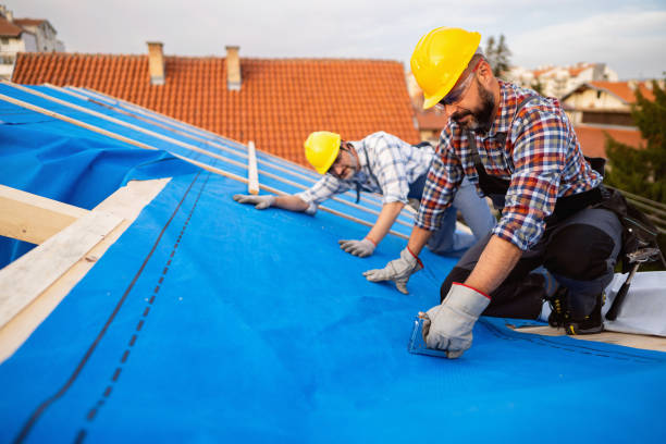 Best Roof Gutter Cleaning  in Lake Wilderness, VA