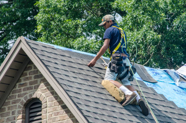 Best Affordable Roof Replacement  in Lake Wilderness, VA
